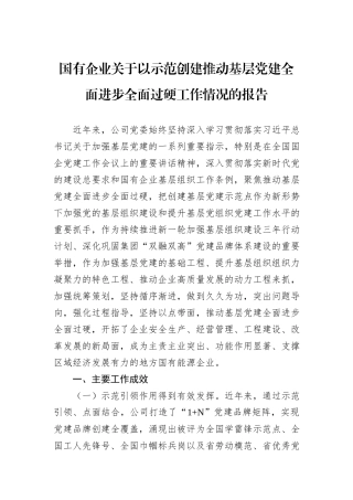 国有企业关于以示范创建推动基层党建全面进步全面过硬工作情况的报告