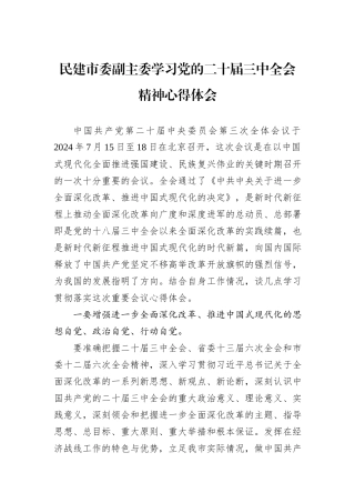 民建市委副主委学习党的二十届三中全会精神心得体会