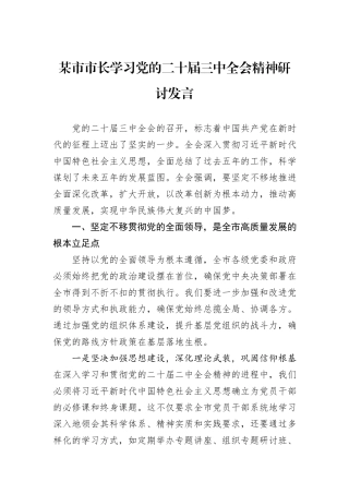 某市市长学习党的二十届三中全会精神研讨发言