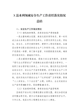 X县水利领域安全生产工作责任落实情况总结