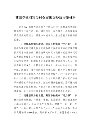 某镇党建引领乡村全面振兴经验交流材料