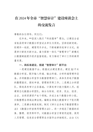 在2024年全市“智慧审计”建设座谈会上的交流发言
