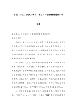 （6篇）乡镇（办区）负责人学习二十届三中全会精神感悟汇编