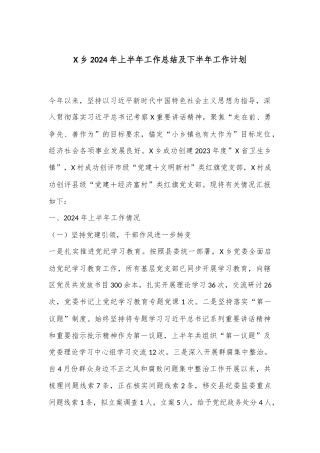X乡2024年上半年工作总结及下半年工作计划