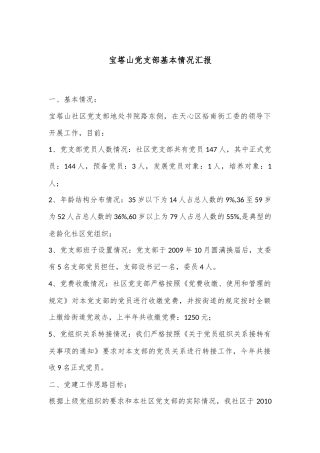宝塔山党支部基本情况汇报