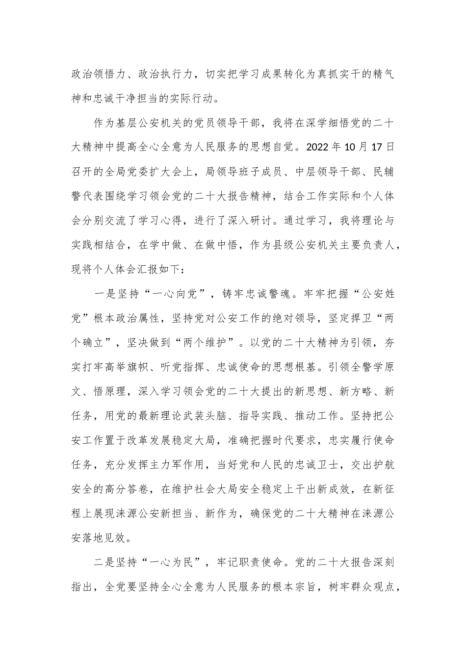 精研细悟党的二十大精神 引领开创公安事业新格局_第2页