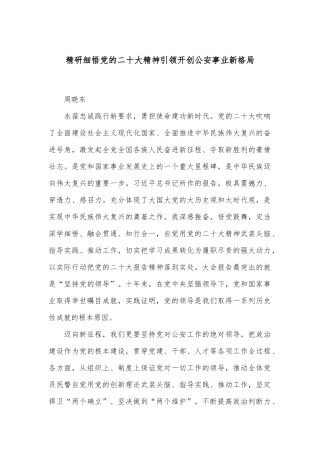 精研细悟党的二十大精神 引领开创公安事业新格局