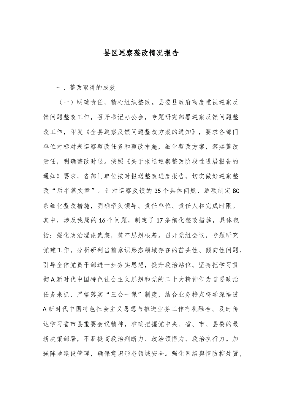县区巡察整改情况报告_第1页