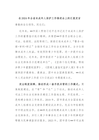 在2024年全省未成年人保护工作推进会上的汇报发言