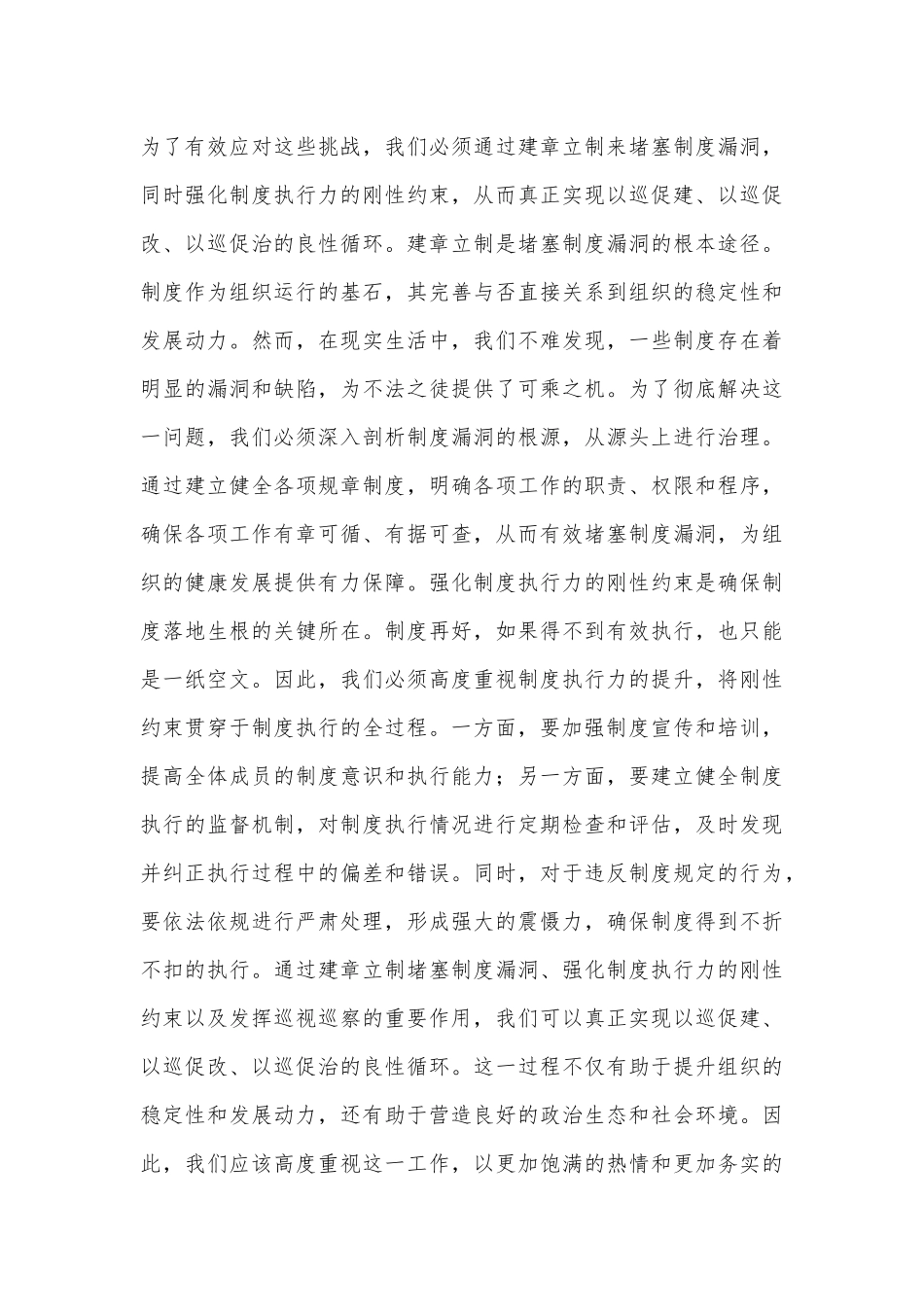 在2024年巡察整改工作动员部署会上的讲话 (2)_第3页