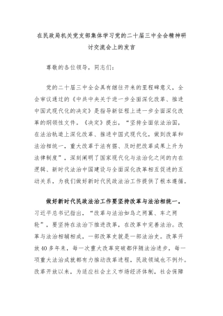 在民政局机关党支部集体学习党的二十届三中全会精神研讨交流会上的发言