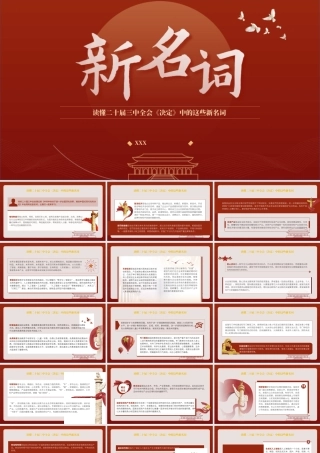 读懂二十届三中全会决定中的这些新名词专题党课