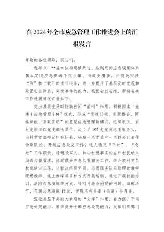 在2024年全市应急管理工作推进会上的汇报发言