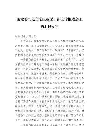镇党委书记在全区选派干部工作推进会上的汇报发言