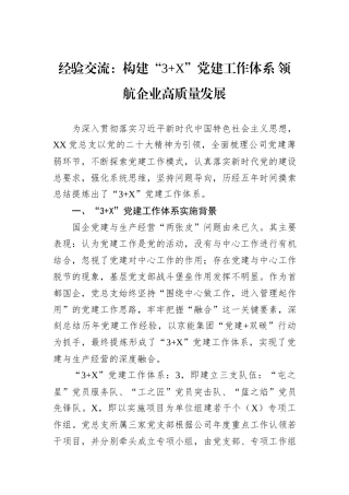 经验交流：构建“3+X”党建工作体系+领航企业高质量发展 (1)