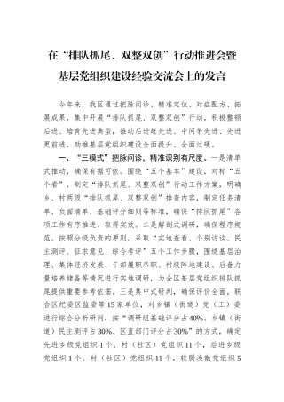 在“排队抓尾、双整双创”行动推进会暨基层党组织建设经验交流会上的发言