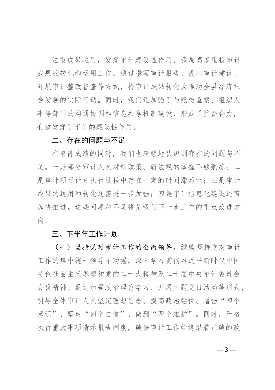 县审计局2024年工作总结及下半年工作计划_第3页