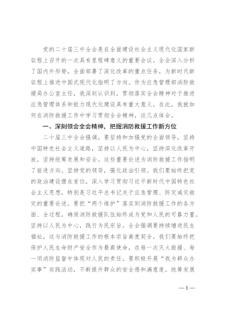 学习贯彻二十届三中全会精神交流发言材料（结合消防工作）