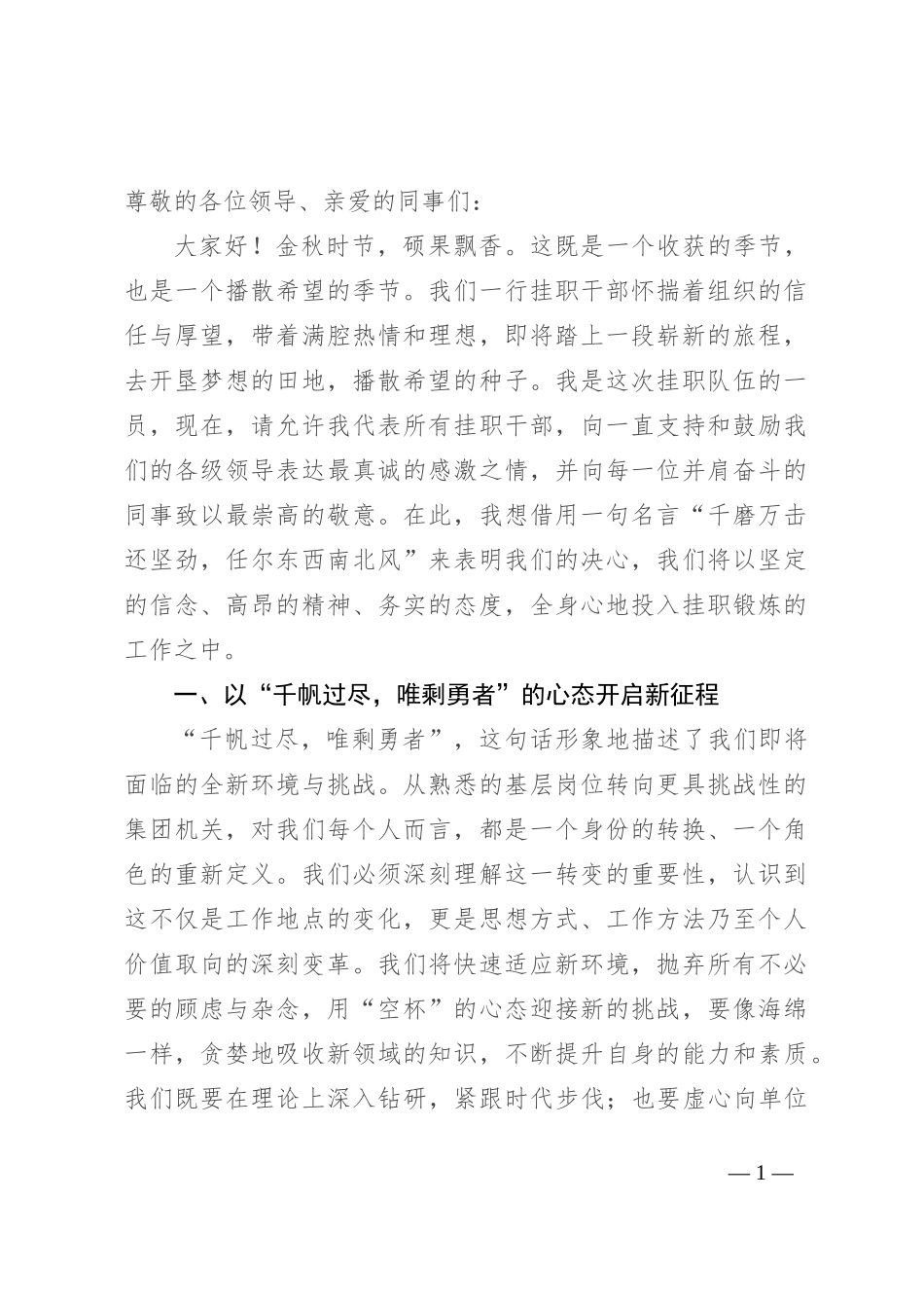 挂职干部代表表态发言_第1页