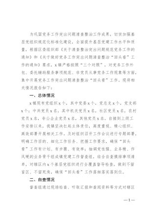 关于开展党务工作突出问题清查整治“回头看”工作的情况报告