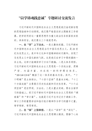 “以学铸魂践忠诚”专题研讨交流发言