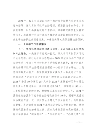 县司法局2024年上半年工作总结及下半年工作安排