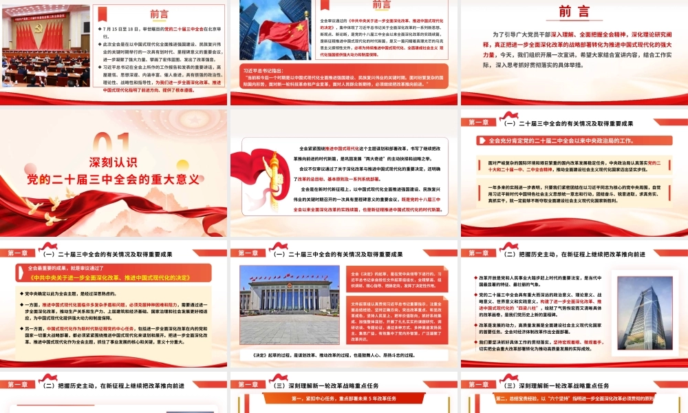 学习党的二十届三中全会精神专题辅导报告 （含分钟讲稿）