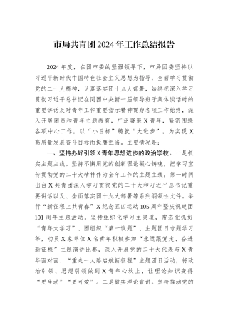 市局共青团2024年工作总结报告