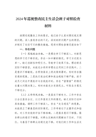 2024年巡视整改民主生活会班子对照检查材料20241031