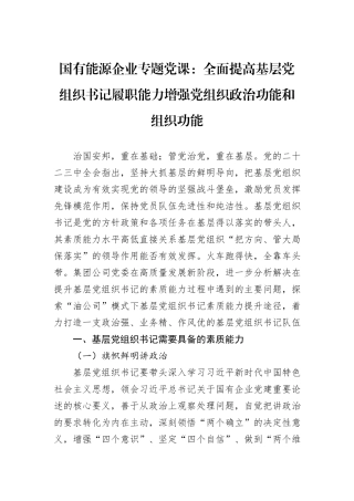 国有能源企业专题党课：全面提高基层党组织书记履职能力增强党组织政治功能和组织功能20241031