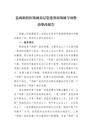 县两新组织领域基层党建薄弱领域专项整治整改报告20241031