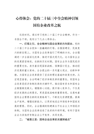 心得体会：党的二十届三中全会精神引领国有企业改革之航