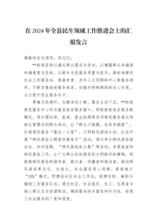 在2024年全县民生领域工作推进会上的汇报发言