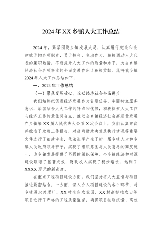 2024年XX乡镇人大工作总结