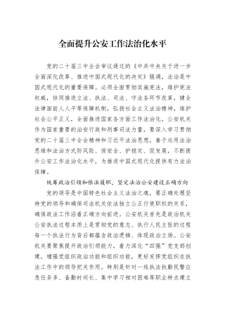 全面提升公安工作法治化水平