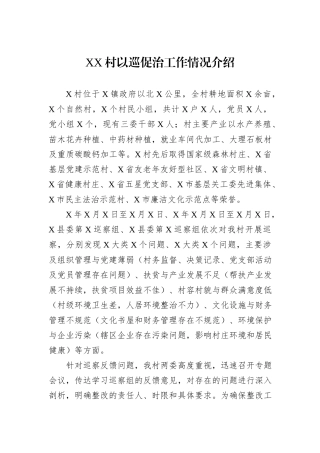 XX村以巡促治工作情况介绍20241105