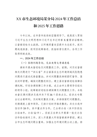 XX市生态环境局某分局2024年工作总结和2025年工作思路20241105