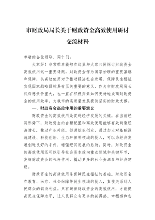 市财政局局长关于财政资金高效使用研讨交流材料20241105