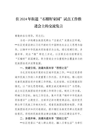 在2024年街道“石榴籽家园”试点工作推进会上的交流发言20241105