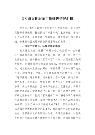 XX市文化旅游工作推进情况汇报