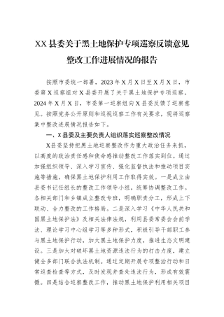 XX县委关于黑土地保护专项巡察反馈意见整改工作进展情况的报告