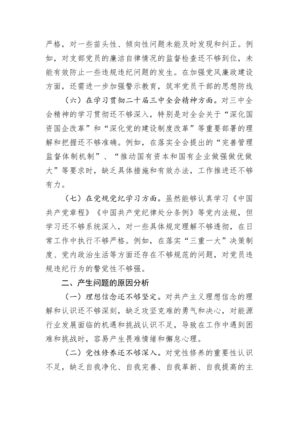 2024年度国企（能源公司）基层党支部书记巡察整改组织生活会个人对照检查发言材料_第3页