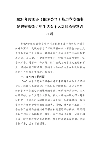 2024年度国企（能源公司）基层党支部书记巡察整改组织生活会个人对照检查发言材料