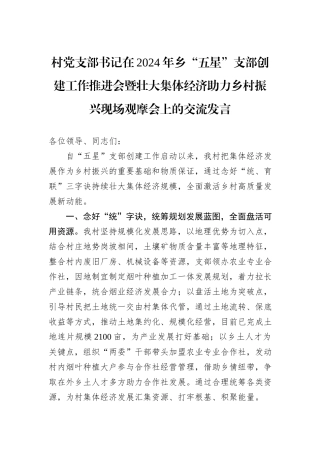 村党支部书记在2024年乡“五星”支部创建工作推进会暨壮大集体经济助力乡村振兴现场观摩会上的交流发言