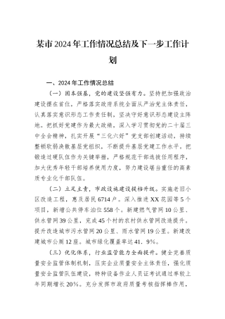 某市2024年工作情况总结及下一步工作计划