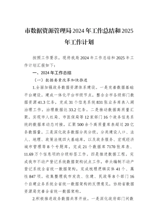 市数据资源管理局2024年工作总结和2025年工作计划