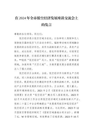 在2024年全市低空经济发展座谈交流会上的发言