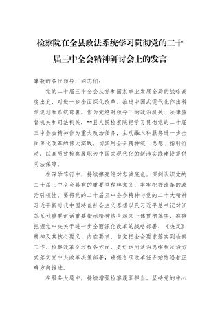 检察院在全县政法系统学习贯彻党的二十届三中全会精神研讨会上的发言