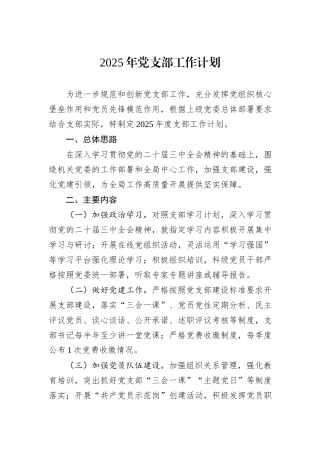 2025年党支部工作计划