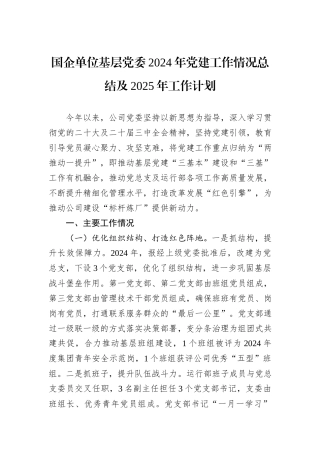 国企单位基层党委2024年党建工作情况总结及2025年工作计划